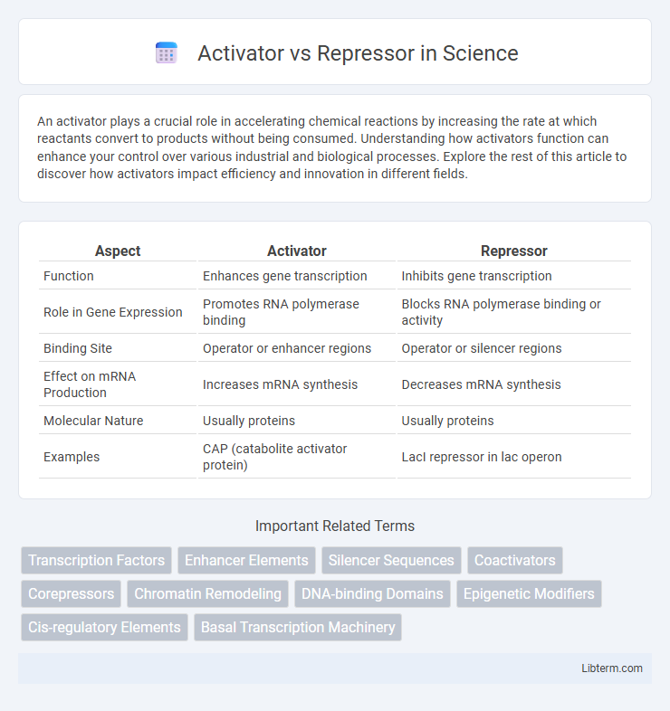 Repressor vs Activator in Science - What is The Difference?