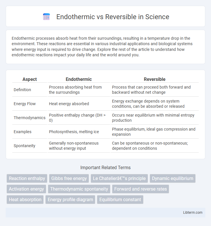 Reversible vs Endothermic in Science - What is The Difference?