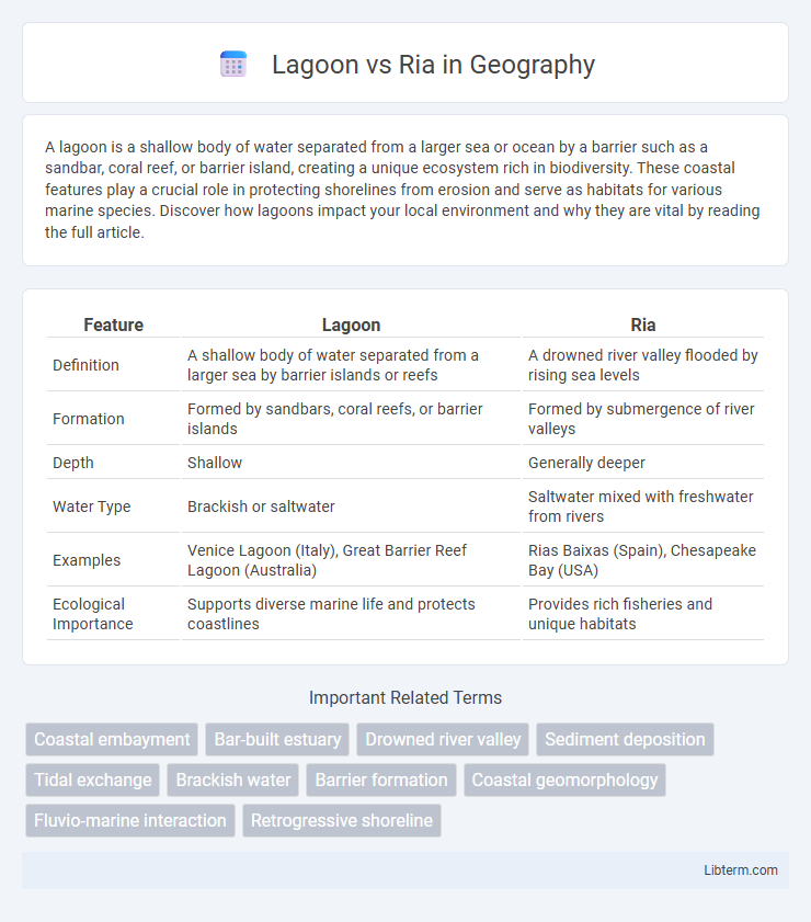 Ria vs Lagoon in Geography - What is The Difference?