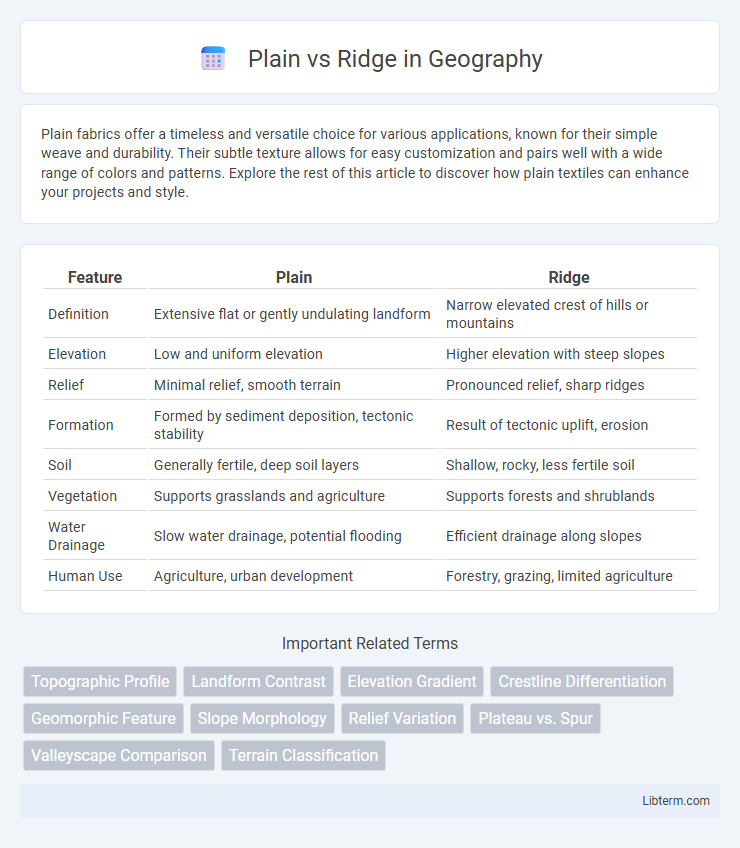 Ridge vs Plain in Geography - What is The Difference?