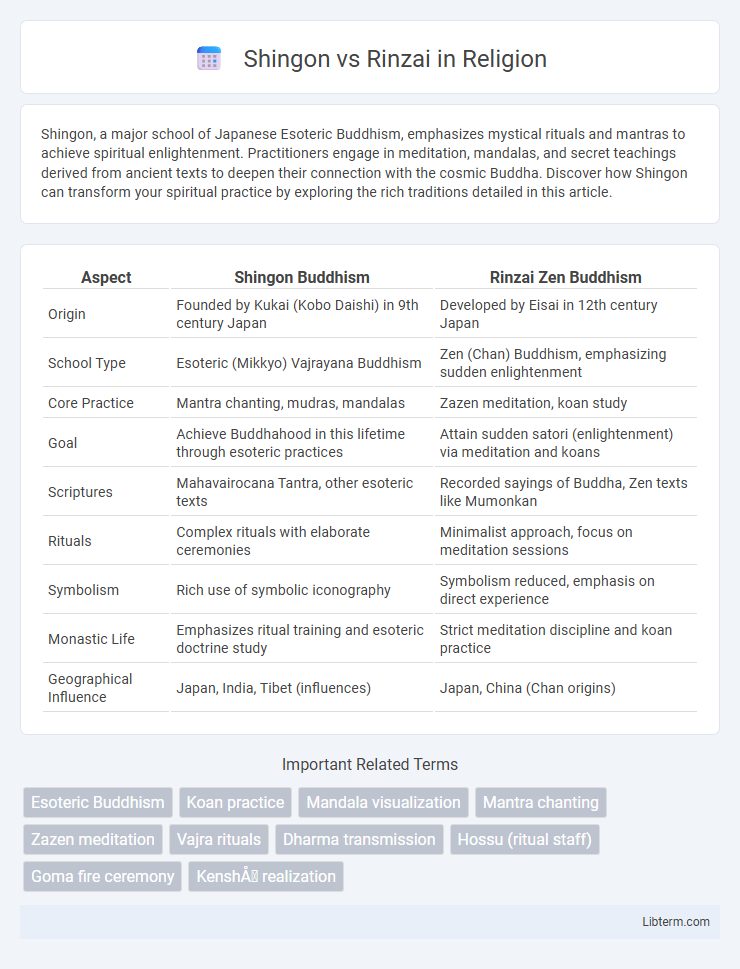 Rinzai vs Shingon in Religion - What is The Difference?