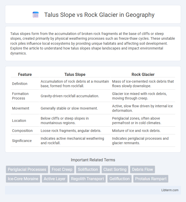 Rock Glacier vs Talus Slope in Geography - What is The Difference?