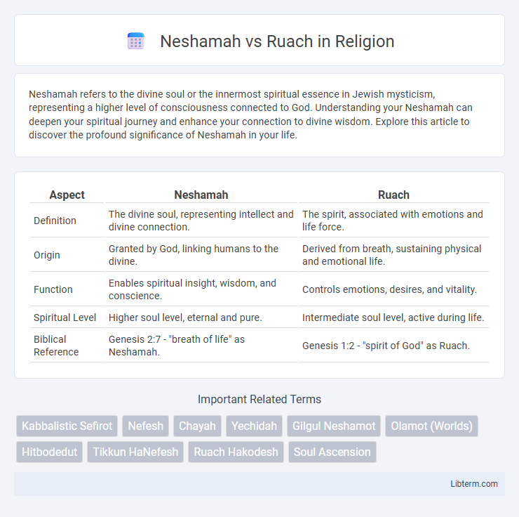 Ruach vs Neshamah in Religion - What is The Difference?