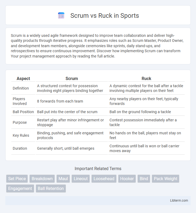 Ruck vs Scrum in Sports - What is The Difference?