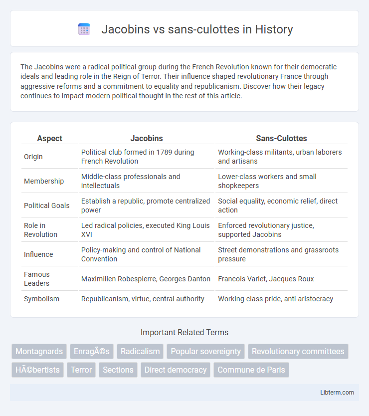 sans-culottes vs Jacobins in History - What is The Difference?