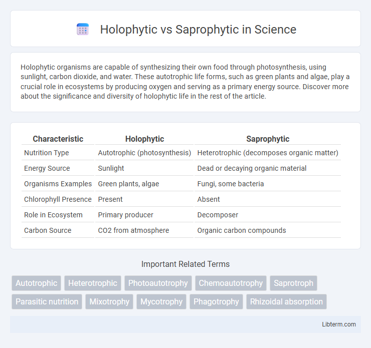Saprophytic vs Holophytic in Science - What is The Difference?