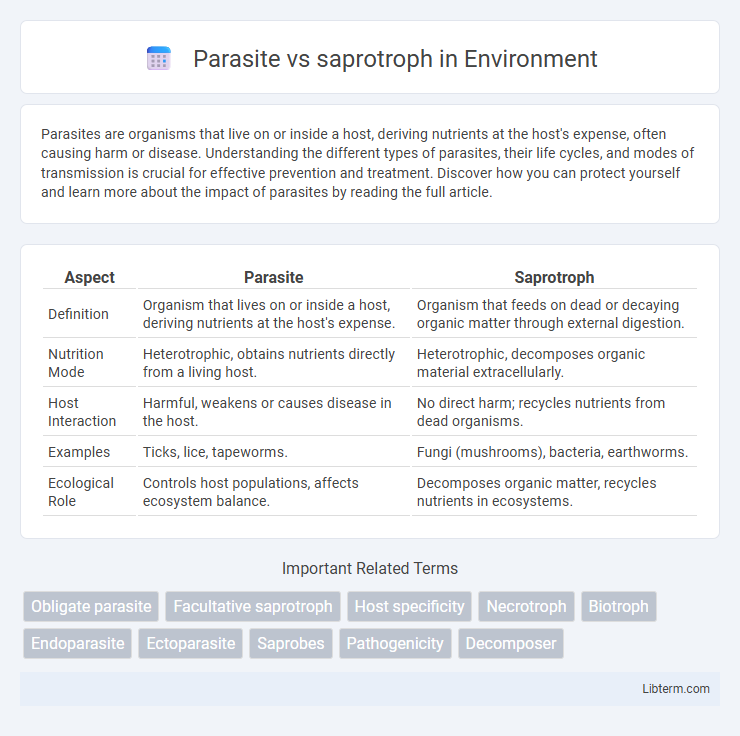 saprotroph vs Parasite in Environment - What is The Difference?