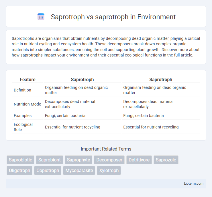 saprotroph vs Saprotroph in Environment - What is The Difference?