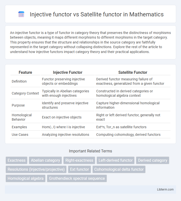 Satellite functor vs Injective functor in Mathematics - What is The Difference?