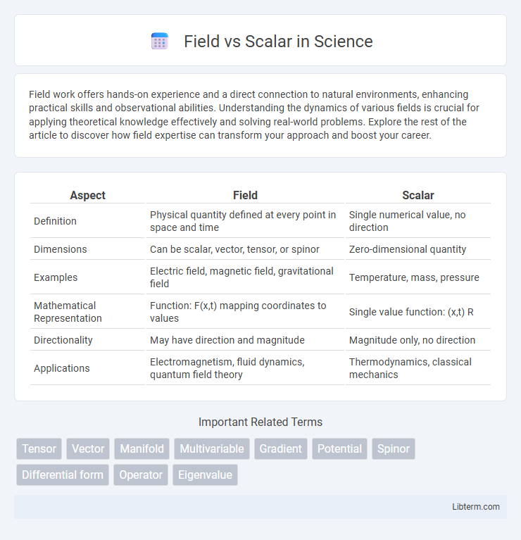 Scalar vs Field in Science - What is The Difference?