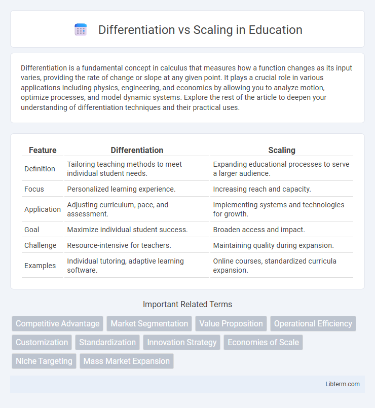 Scaling vs Differentiation in Education - What is The Difference?
