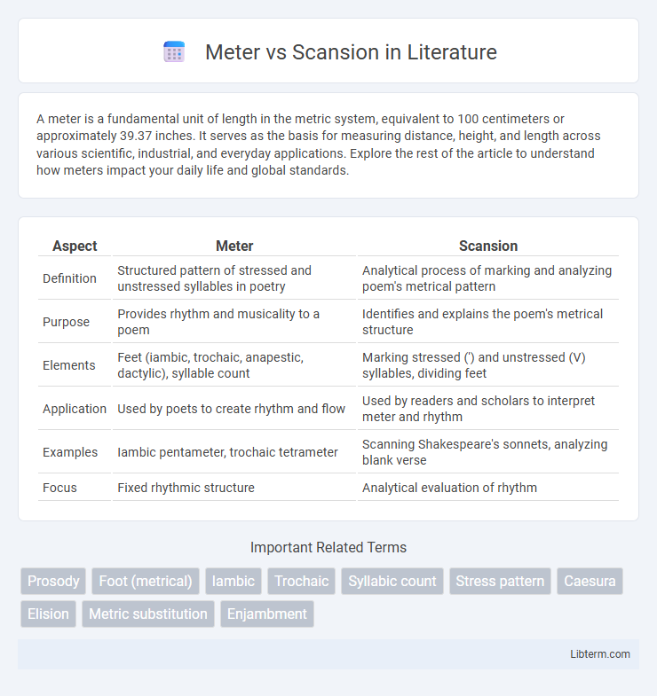 Scansion vs Meter in Literature - What is The Difference?