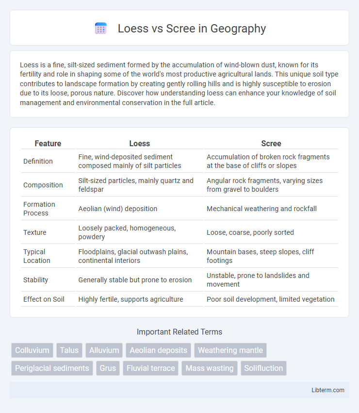 Scree vs Loess in Geography - What is The Difference?