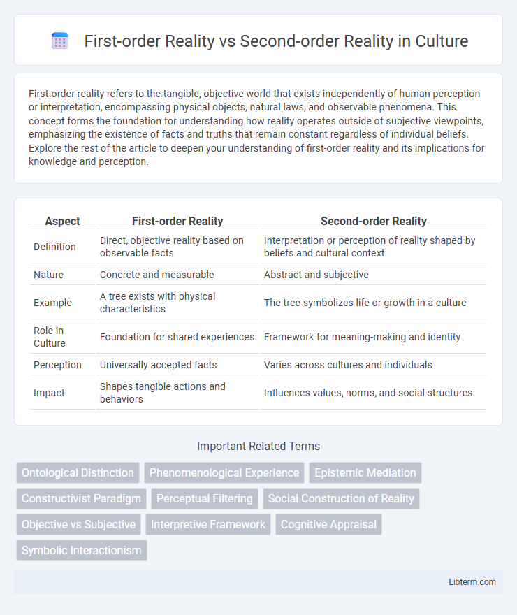Second-order Reality vs First-order Reality in Culture - What is The Difference?