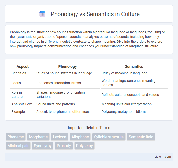Semantics vs Phonology in Culture - What is The Difference?
