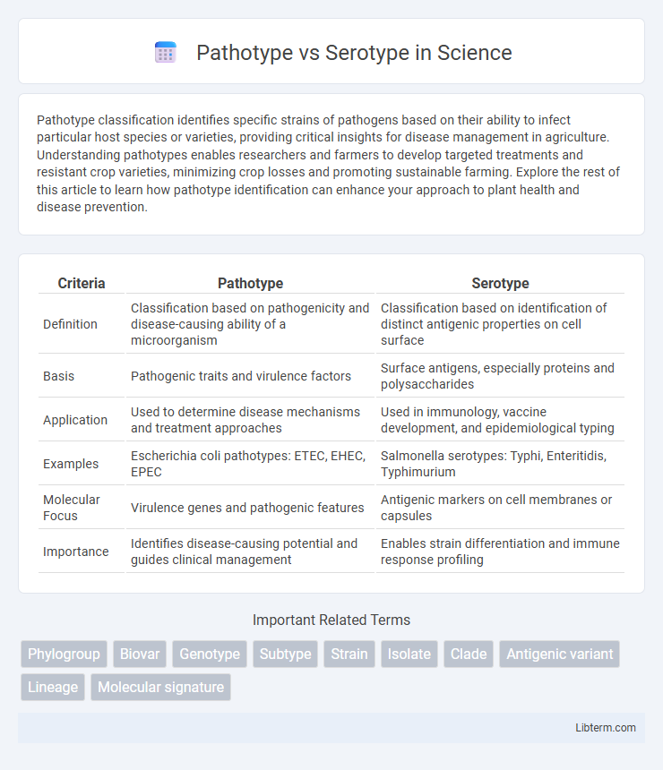 Serotype vs Pathotype in Science - What is The Difference?