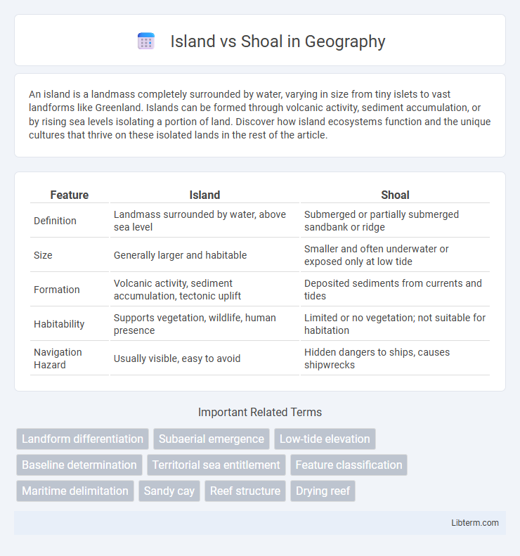 Shoal vs Island in Geography - What is The Difference?