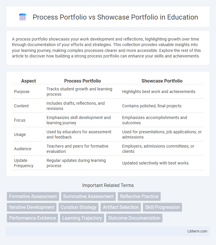 Showcase Portfolio vs Process Portfolio in Education - What is The Difference?
