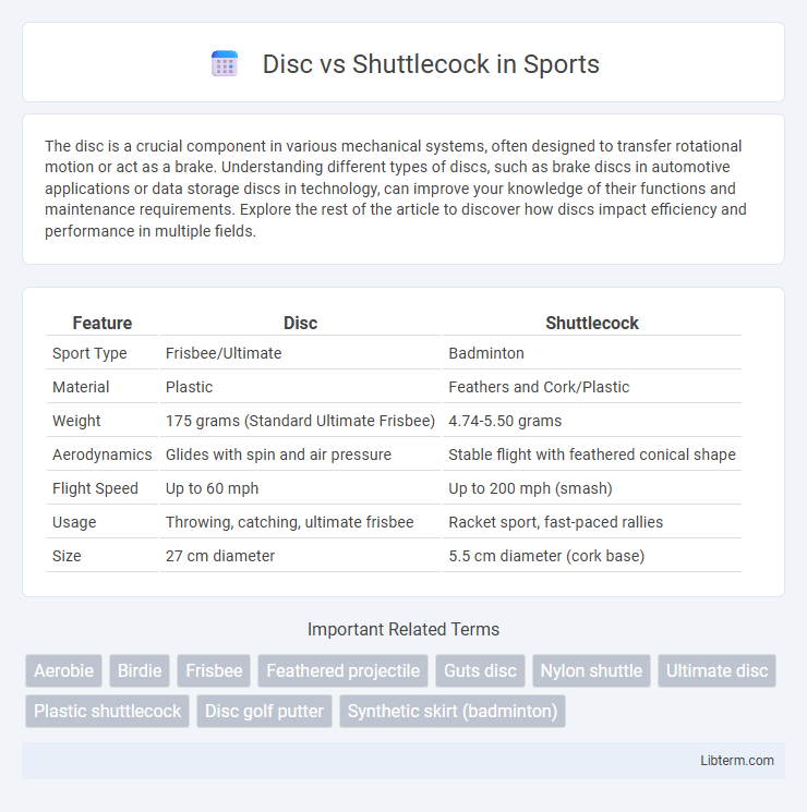 Shuttlecock vs Disc in Sports - What is The Difference?