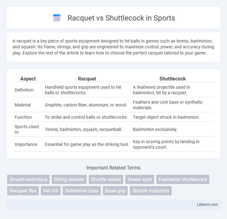 Shuttlecock vs Racquet in Sports - What is The Difference?