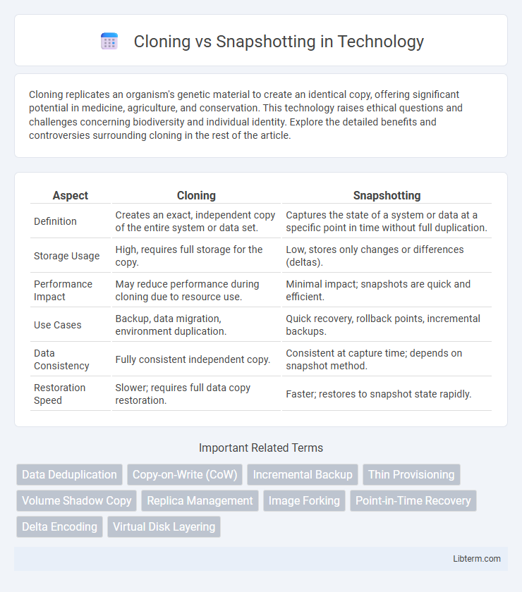 Snapshotting vs Cloning in Technology - What is The Difference?