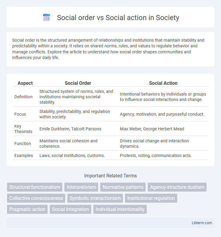 Social action vs Social order in Society - What is The Difference?