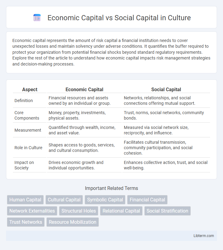 Social Capital vs Economic Capital in Culture - What is The Difference?