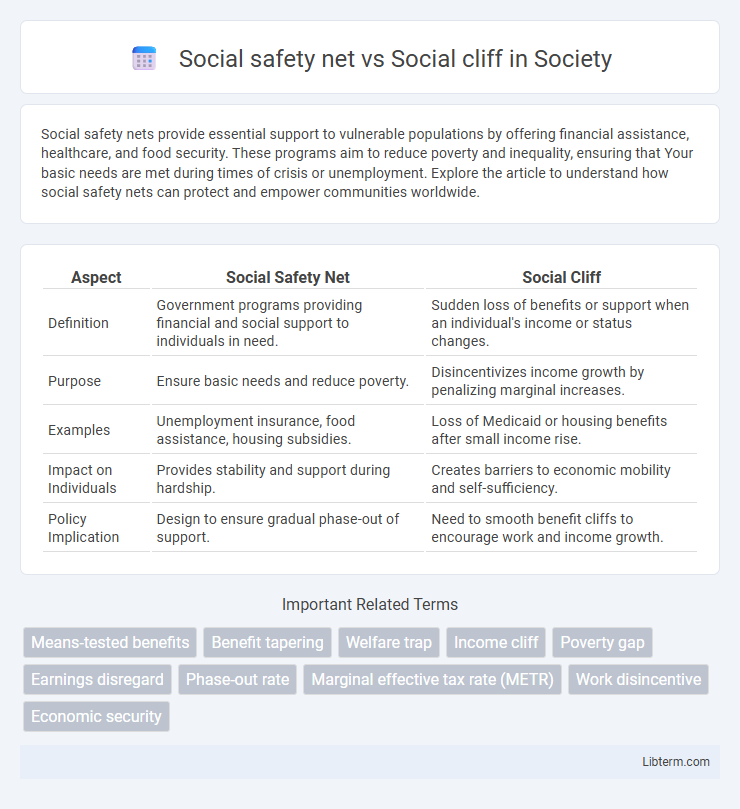 Social cliff vs Social safety net in Society - What is The Difference?