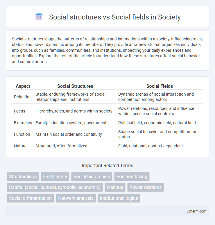 Social fields vs Social structures in Society - What is The Difference?
