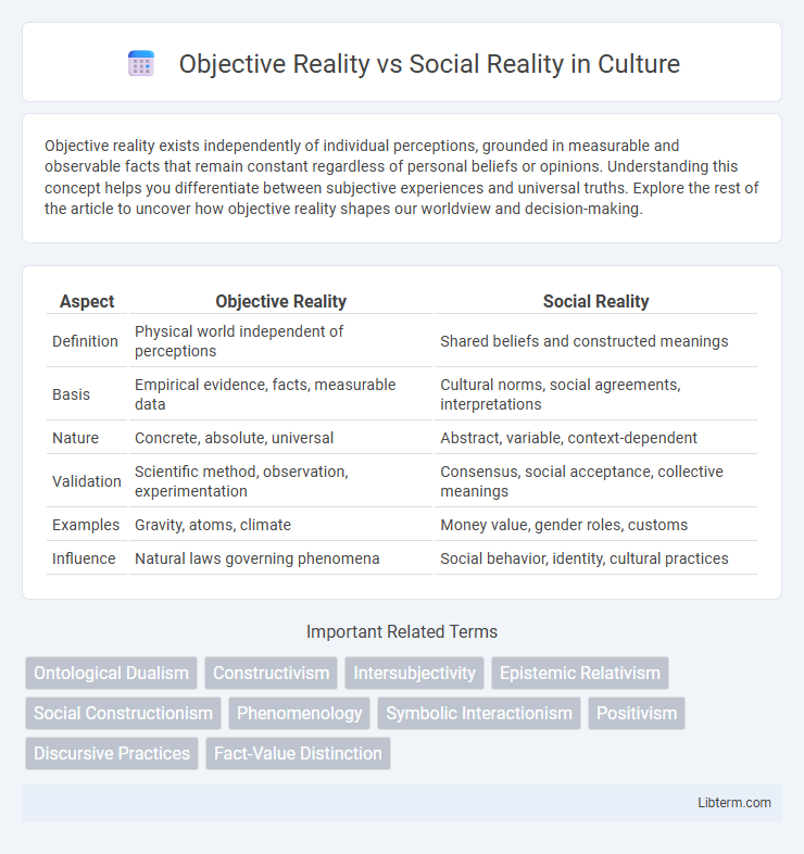 Social Reality vs Objective Reality in Culture - What is The Difference?