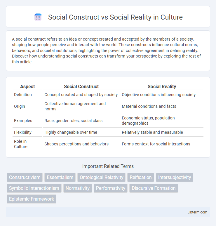 Social Reality vs Social Construct in Culture - What is The Difference?