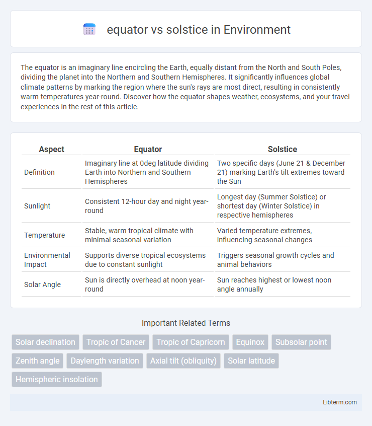 solstice vs equator in Environment - What is The Difference?