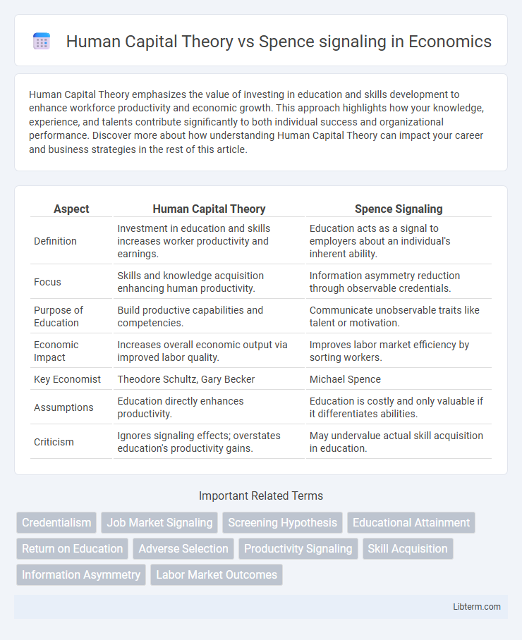 Spence signaling vs Human Capital Theory in Economics - What is The Difference?
