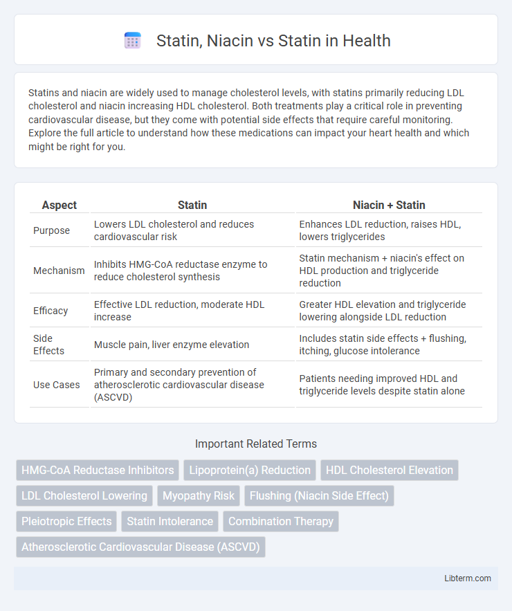 Statin vs Statin, Niacin in Health - What is The Difference?