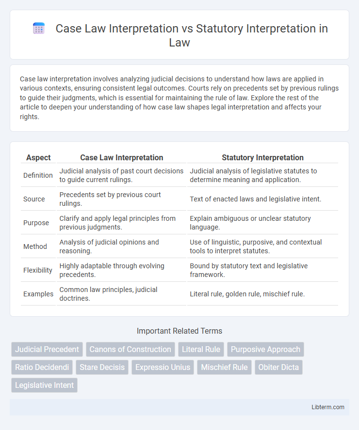 Statutory Interpretation vs Case Law Interpretation in Law - What is The Difference?
