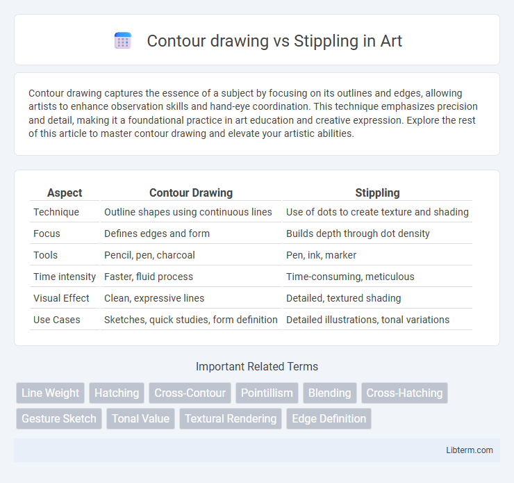 Stippling vs Contour drawing in Art - What is The Difference?