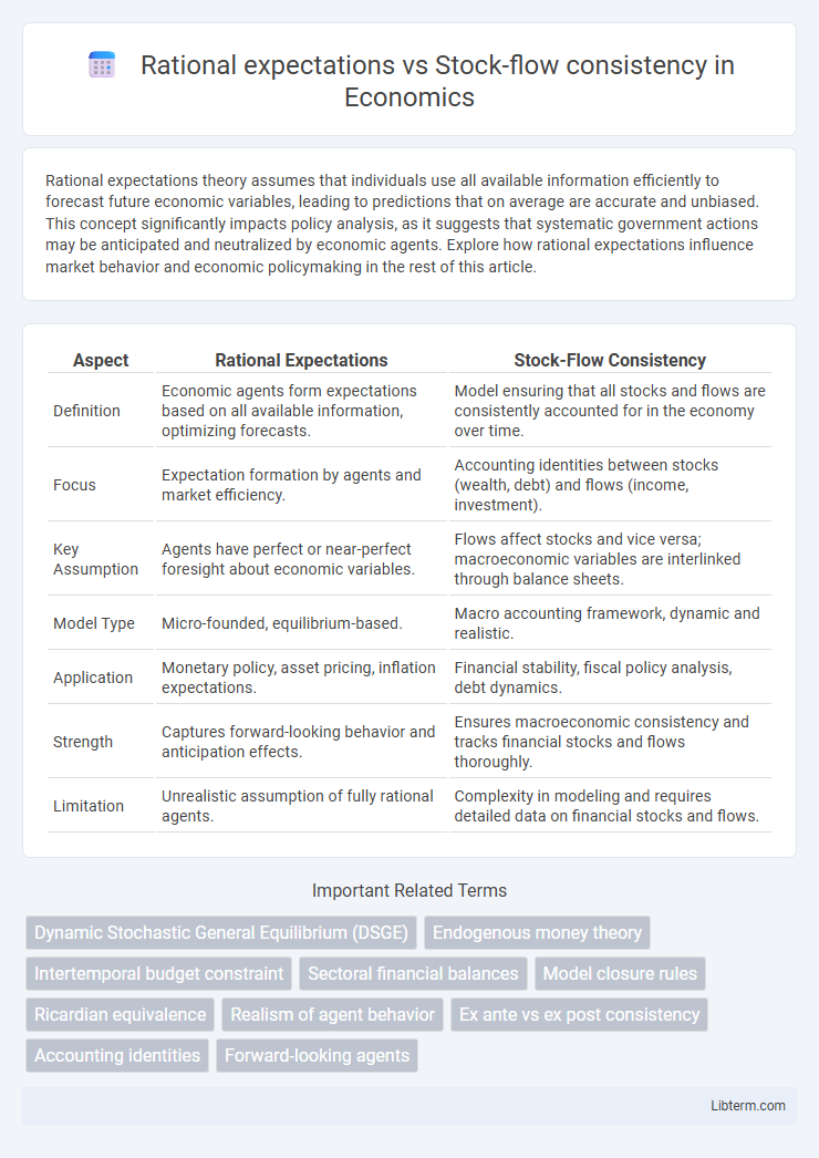 Stock-flow consistency vs Rational expectations in Economics - What is The Difference?