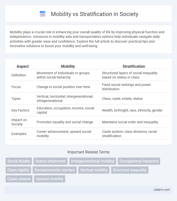 Stratification vs Mobility in Society - What is The Difference?
