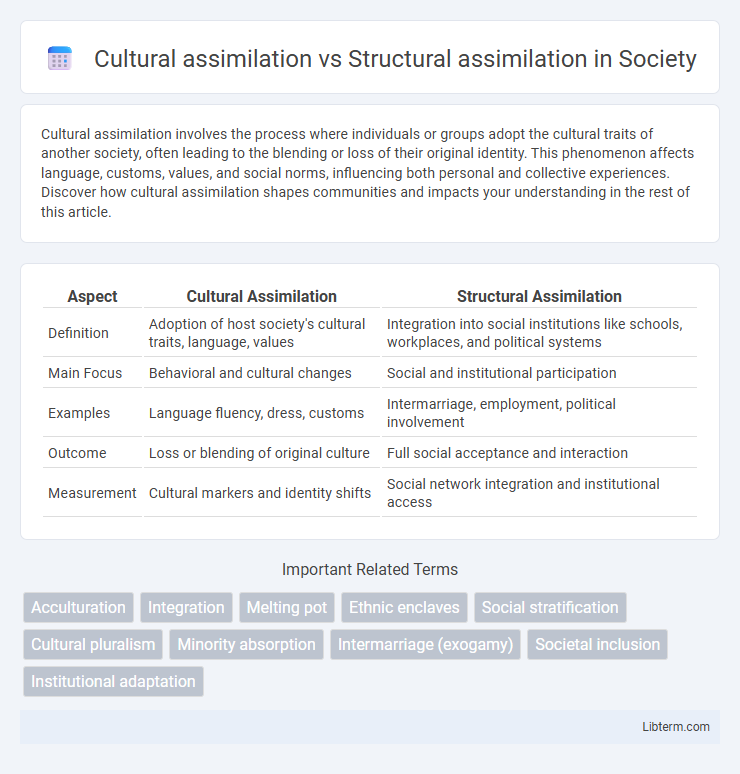 Structural assimilation vs Cultural assimilation in Society - What is The Difference?