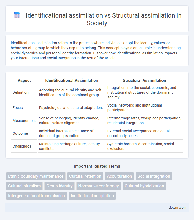 Structural assimilation vs Identificational assimilation in Society - What is The Difference?
