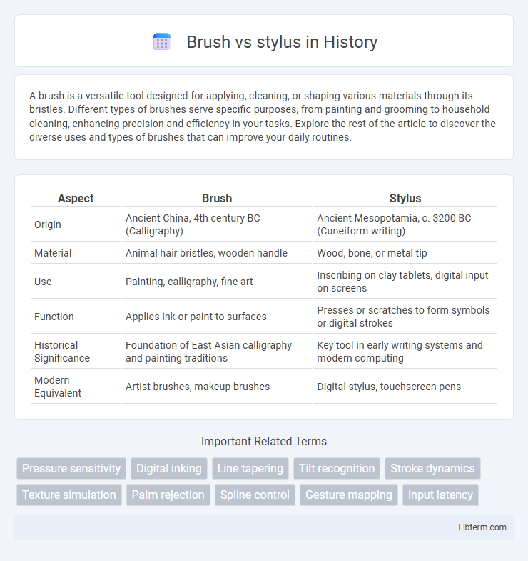 stylus vs Brush in History - What is The Difference?