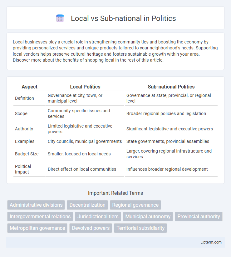 Sub-national vs Local in Politics - What is The Difference?