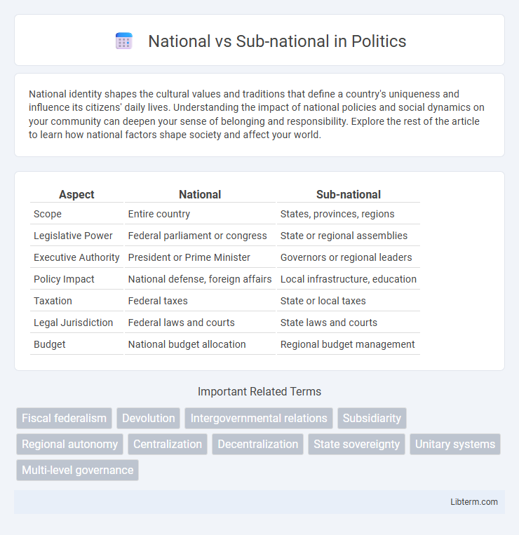 Sub-national vs National in Politics - What is The Difference?