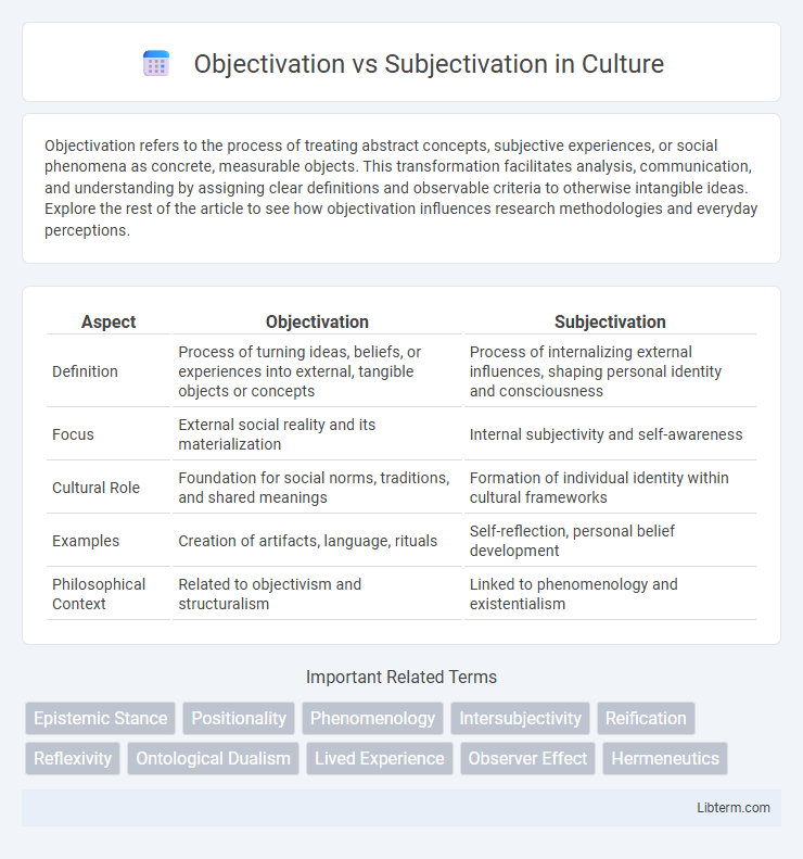 Subjectivation vs Objectivation in Culture - What is The Difference?