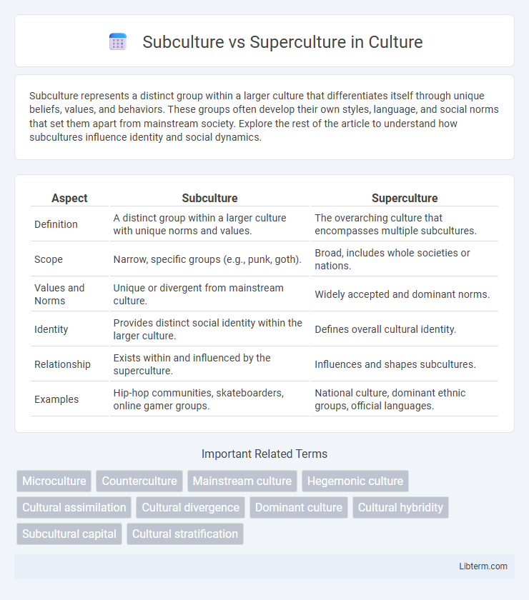 Superculture vs Subculture in Culture - What is The Difference?