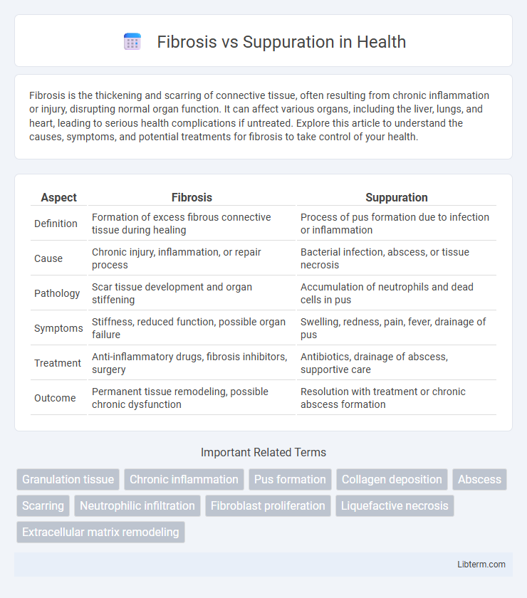 Suppuration vs Fibrosis in Health - What is The Difference?
