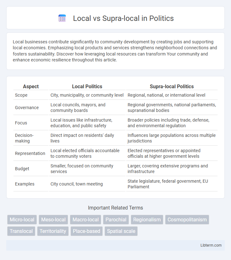 Supra-local vs Local in Politics - What is The Difference?