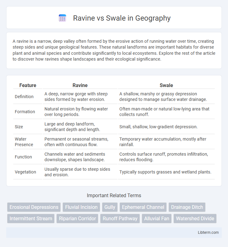Swale vs Ravine in Geography - What is The Difference?