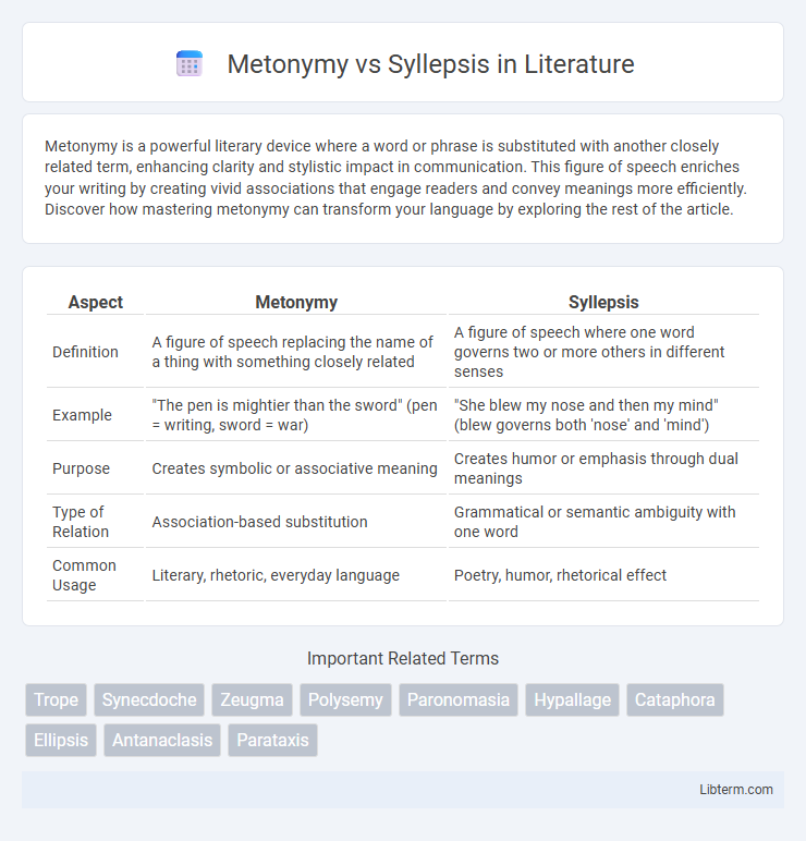 Syllepsis vs Metonymy in Literature - What is The Difference?