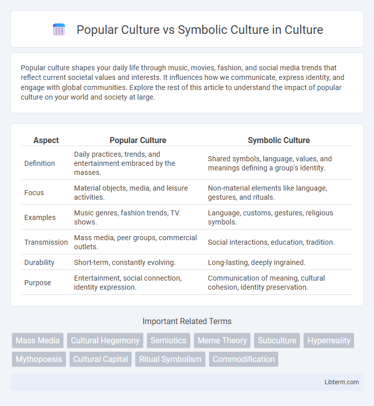 Symbolic Culture vs Popular Culture in Culture - What is The Difference?